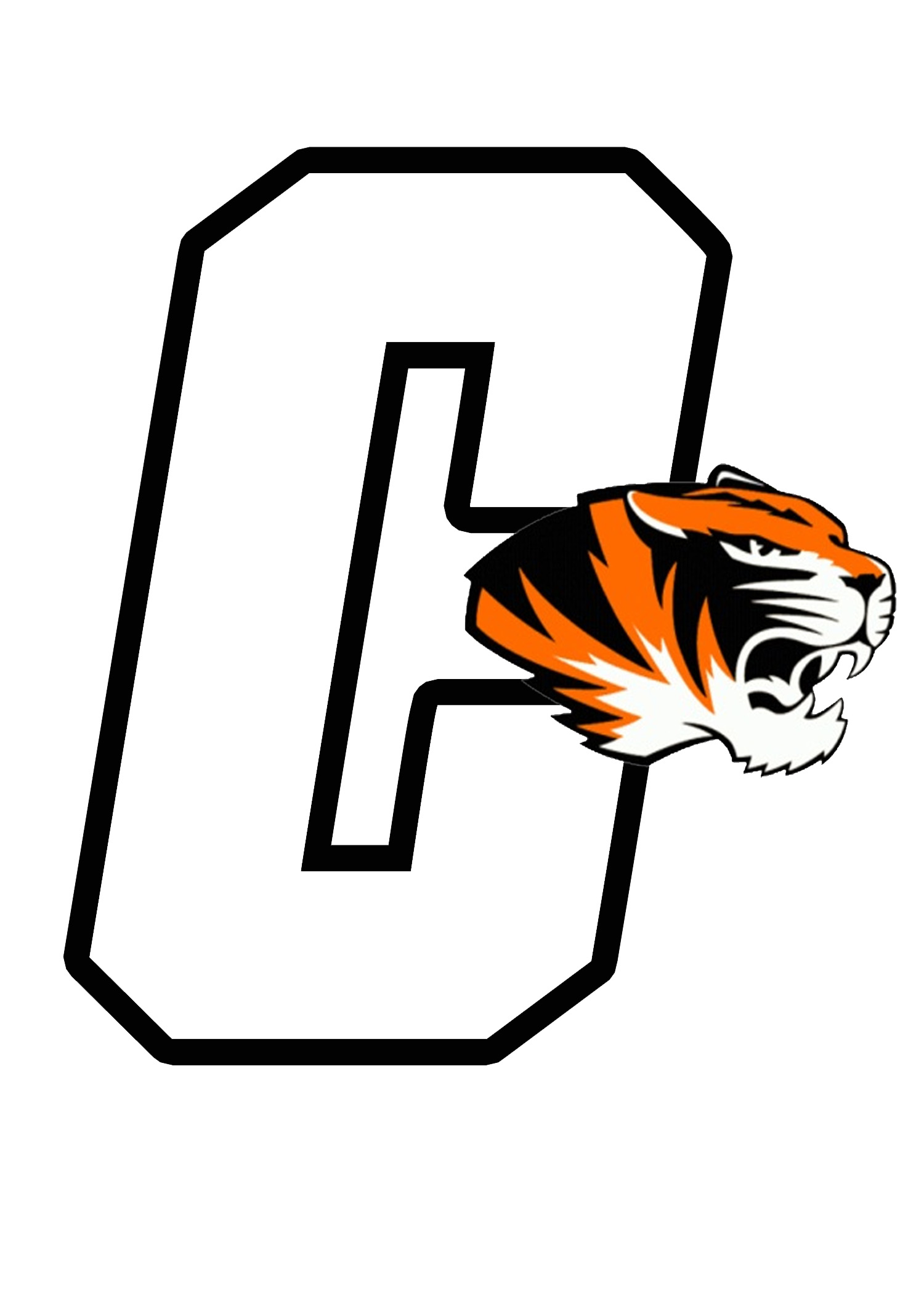 Centreville Tigers Youth Sports Logo