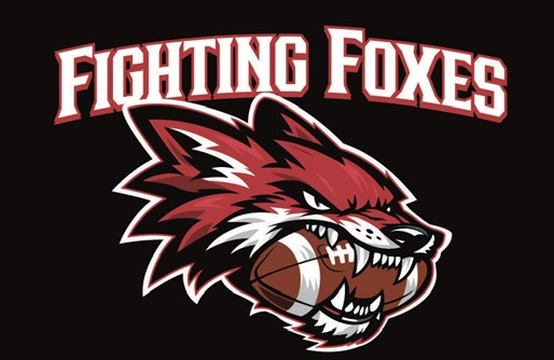 Yorkville Youth Tackle Football And Cheerleading Logo
