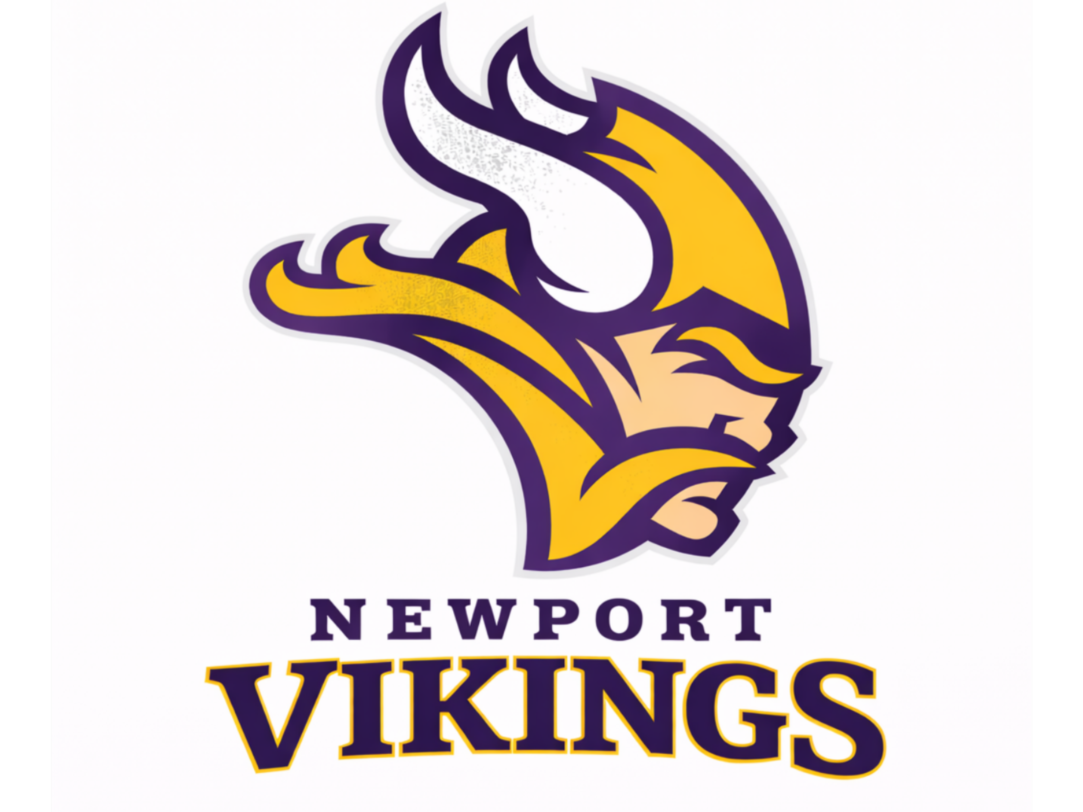 Newport Vikings Youth Football and Cheerleading Association Logo