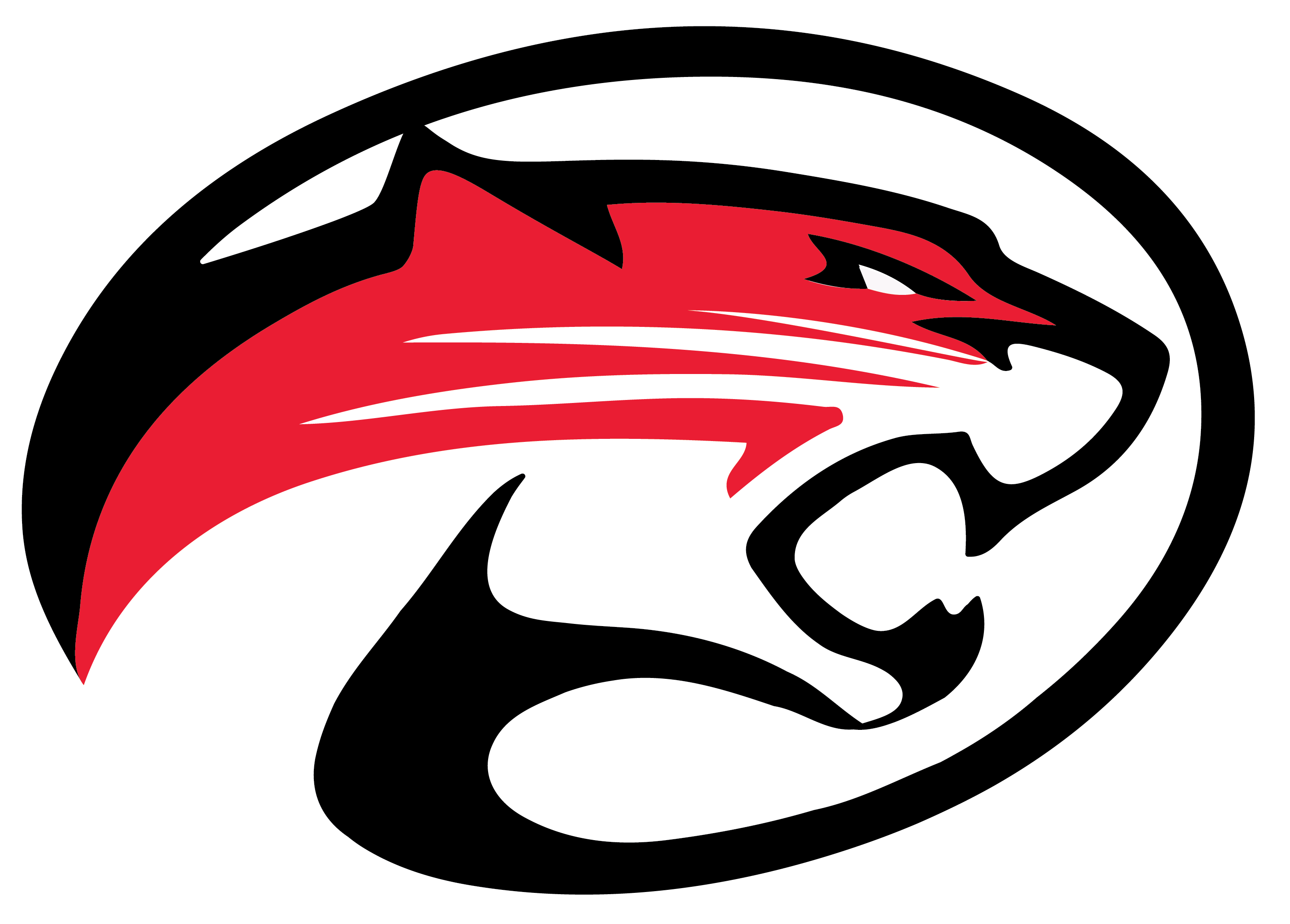 Fowler Youth Football - TCYFL Logo