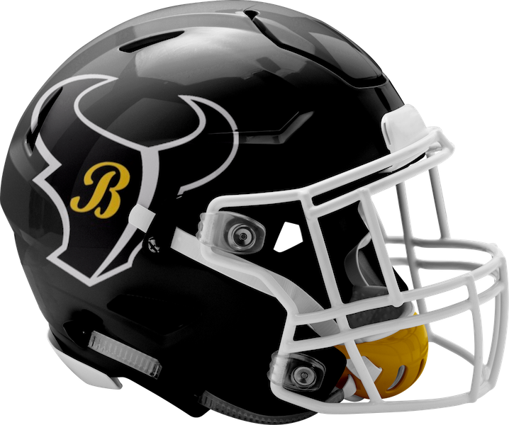 Brashear High School Logo