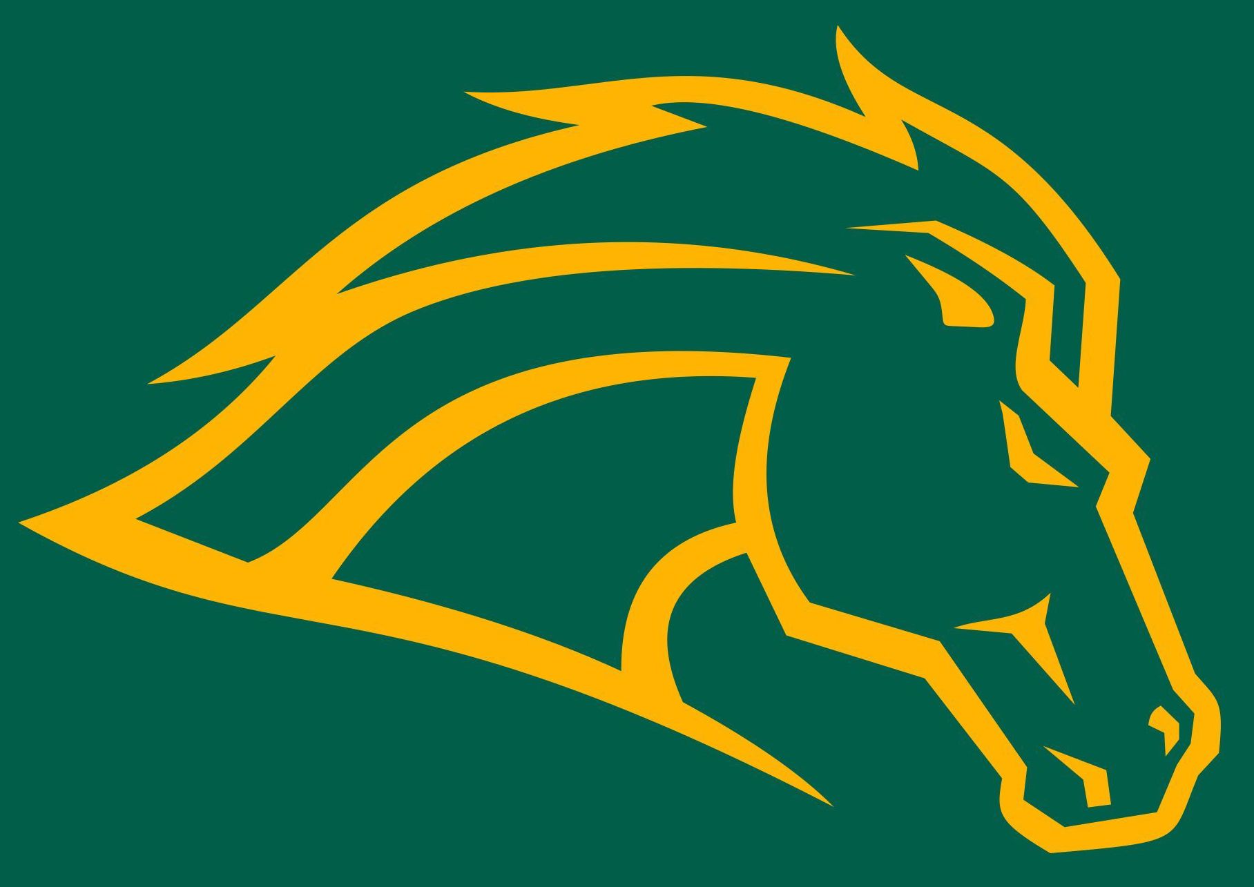 East Chatham Chargers  Football and Cheer Association Logo