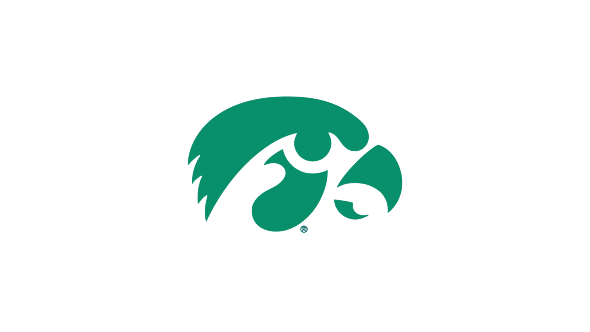 Dighton/Rehoboth Pop Warner Logo