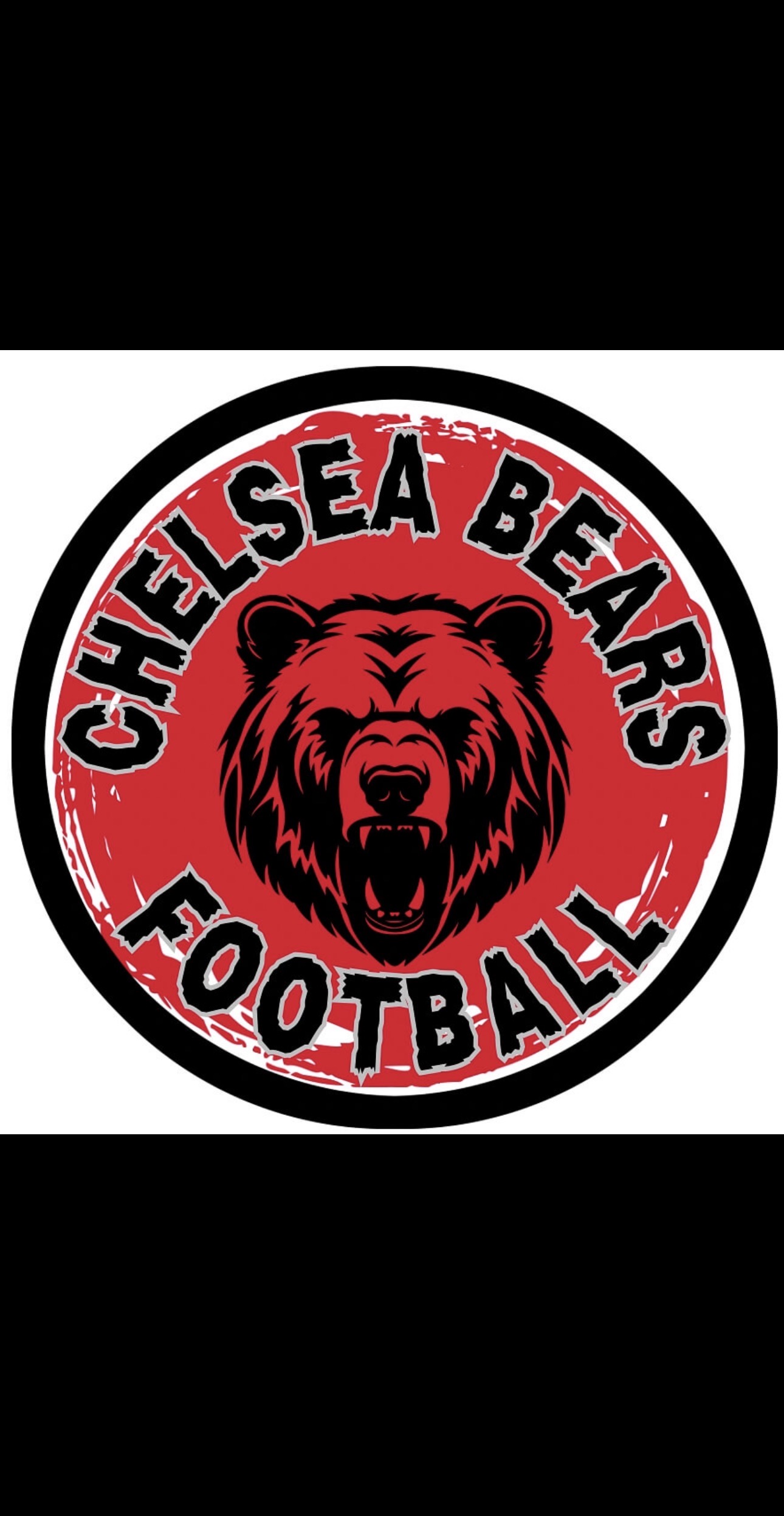 Chelsea Bears Logo