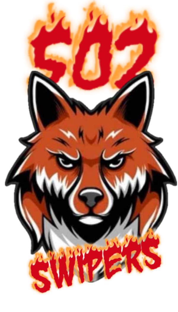 502 Swipers logo
