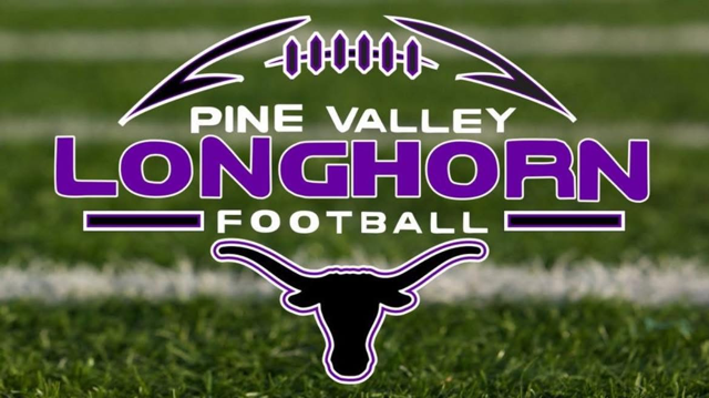 Pine Valley Longhorns Logo
